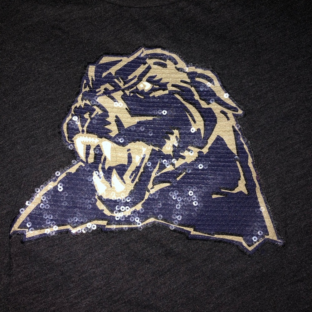 2010 PINK Collegiate Collection PItt Panthers!